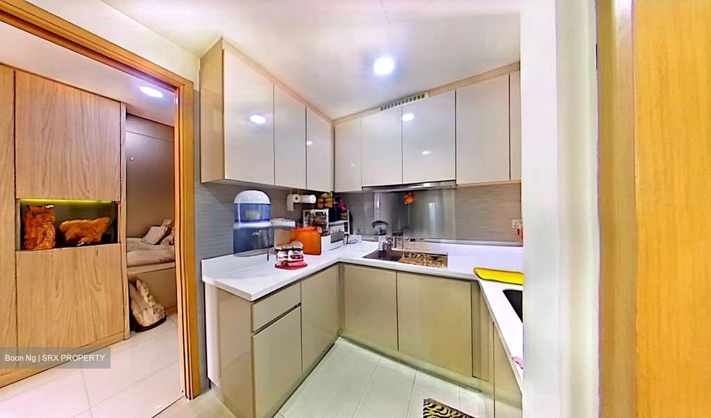 Blossom Residences (D23), Condominium #577117891